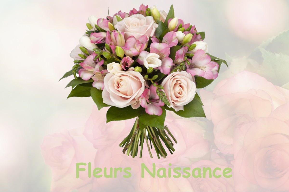 fleurs naissance HONDSCHOOTE