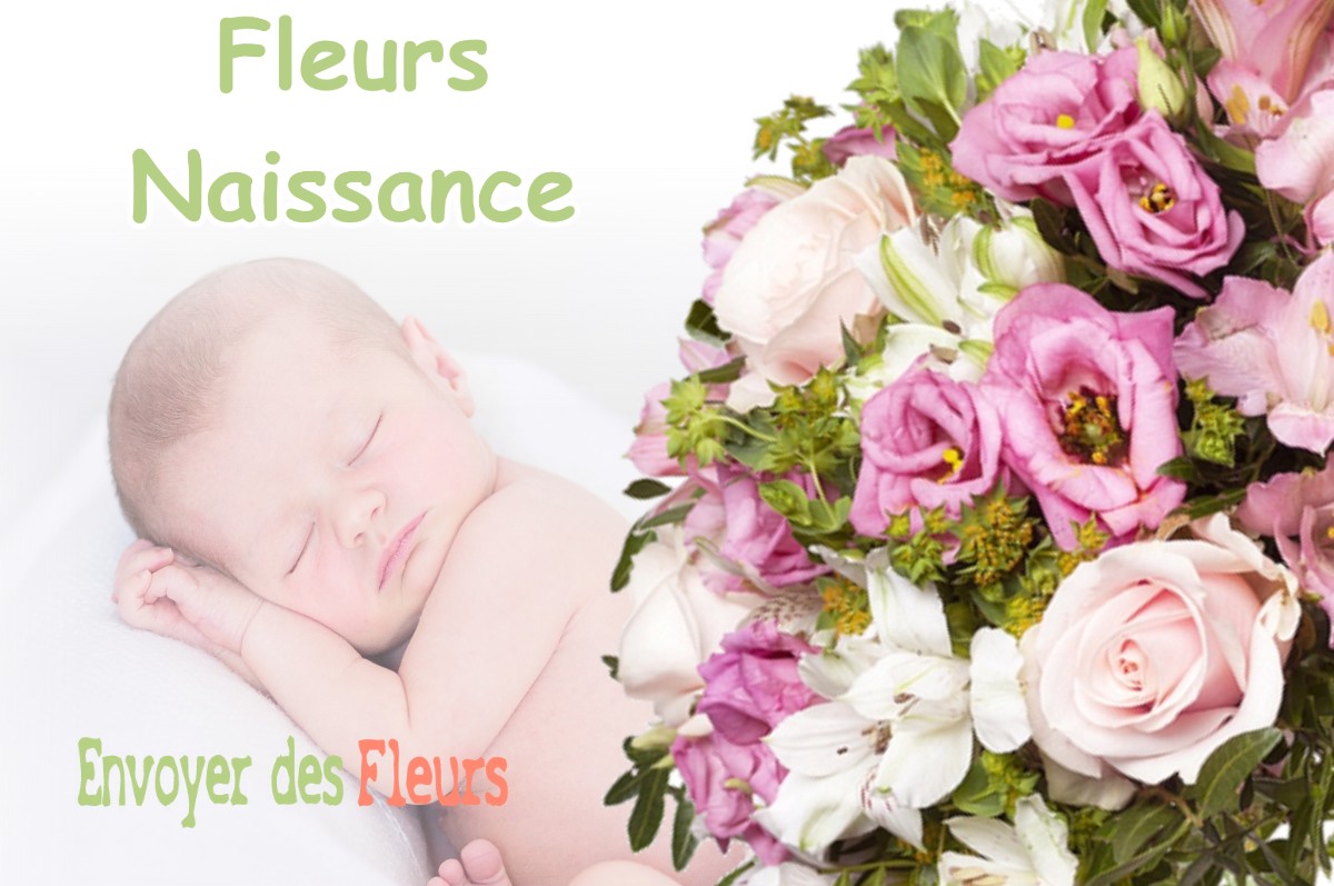 lIVRAISON FLEURS NAISSANCE à HONDSCHOOTE